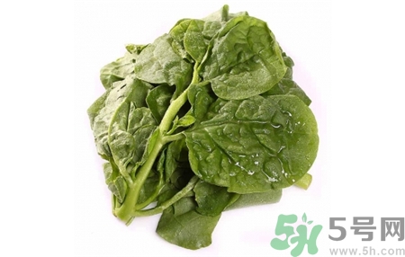 木耳菜的營養(yǎng)價值 木耳菜的功效與作用 木耳菜的營養(yǎng)價值 木耳菜的功效與作用