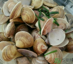 孕婦可以吃文蛤嗎？文蛤的功效與作用