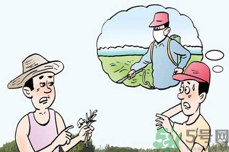 如何去除蔬菜上農(nóng)藥殘留？清洗農(nóng)藥小竅門(mén)有哪些？