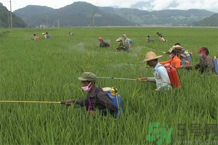 如何去除蔬菜上農(nóng)藥殘留？清洗農(nóng)藥小竅門(mén)有哪些？