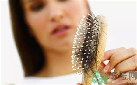 每天掉發(fā)多少算正常?秋季掉發(fā)嚴(yán)重怎么辦? 每天掉發(fā)多少算正常?秋季掉發(fā)嚴(yán)重怎么辦?