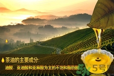 茶油是什么？茶油怎么吃？