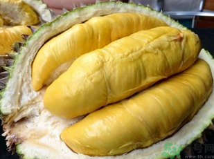 金枕頭榴蓮和普通榴蓮有什么區(qū)別？金枕頭榴蓮怎么挑？