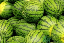 西瓜牛奶可以一起吃嗎？西瓜牛奶怎么做好吃？