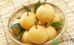 娃娃梨是怎么種出來(lái)的？娃娃梨為什么外形像娃娃？