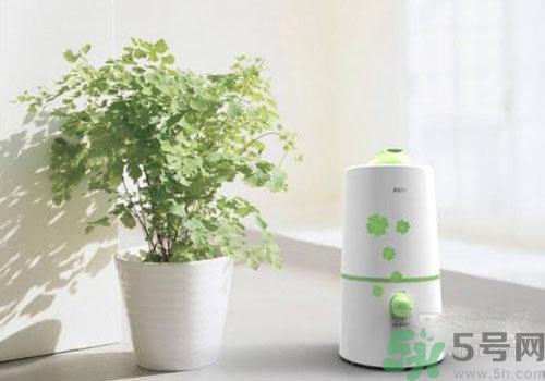 用加濕器好不好？用加濕器有什么危害？