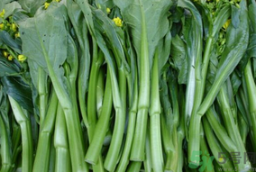 產(chǎn)婦能吃芥藍(lán)嗎？產(chǎn)婦吃芥藍(lán)的注意事項(xiàng)