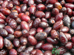 椰棗好吃嗎？椰棗和紅棗的區(qū)別