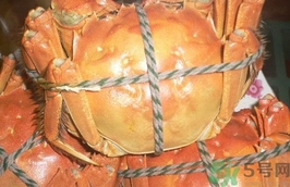 螃蟹可以和西紅柿一起吃嗎?螃蟹能和西紅柿同吃嗎? 螃蟹可以和西紅柿一起吃嗎?螃蟹能和西紅柿同吃嗎?