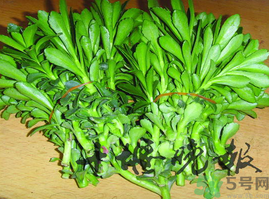 救心菜怎么吃？救心菜的吃法
