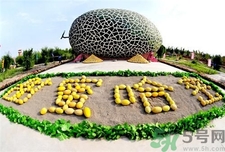 螃蟹可以和哈密瓜一起吃嗎?螃蟹能和哈密瓜一起吃嗎? 螃蟹可以和哈密瓜一起吃嗎?螃蟹能和哈密瓜一起吃嗎?