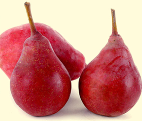 啤梨的功效與作用 啤梨的營養(yǎng)價(jià)值及食用方法