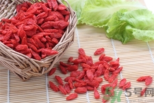 枸杞子泡酒怎么泡？枸杞酒的制作方法是什么？