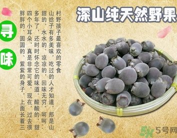 桃金娘有什么功效 桃金娘泡酒有什么功效 桃金娘有什么功效 桃金娘泡酒有什么功效