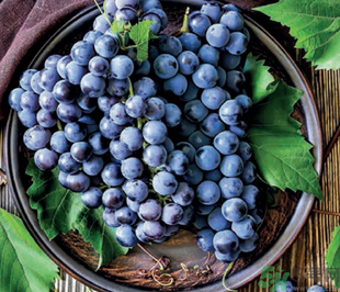 巨峰葡萄怎么挑？巨峰葡萄怎么洗？