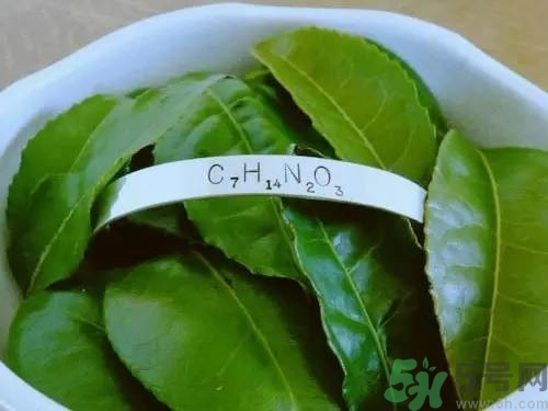 睡眠水為什么可以讓人入睡？可口可樂(lè)睡眠水有什么副作用？