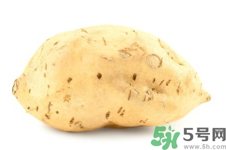 白薯的功效與作用 白薯的營養(yǎng)價值