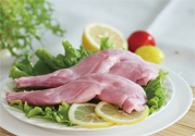 兔肉不能和什么一起吃？什么人不能吃兔肉？