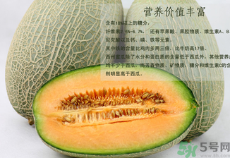 西州蜜瓜怎么吃？西州蜜瓜的食用方法