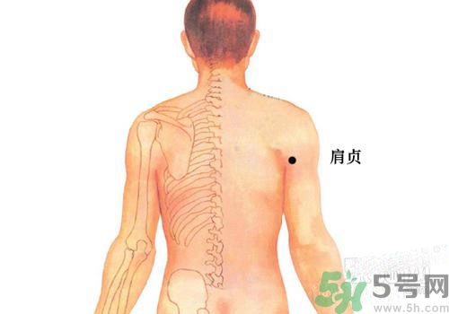 肩周炎艾灸有用嗎？肩周炎艾灸哪些部位？