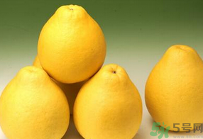 柚子什么時候上市？柚子什么時候成熟？