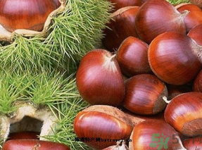 生板栗怎么保存？?板栗如何保存能放更久