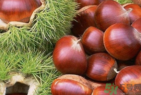 生板栗怎么去殼？生板栗去殼妙招