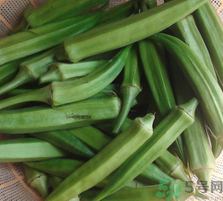 黃秋葵可以生吃嗎？黃秋葵的吃法