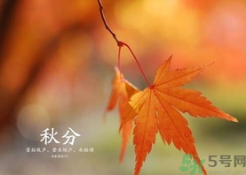 秋分吃什么？秋分吃什么水果？