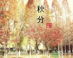 秋分吃什么？秋分吃什么水果？