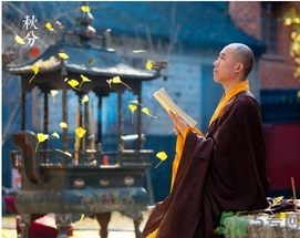 秋分喝什么茶？秋分養(yǎng)生茶飲推薦