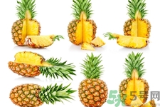 菠蘿的功效與作用 菠蘿的營(yíng)養(yǎng)價(jià)值 菠蘿的功效與作用 菠蘿的營(yíng)養(yǎng)價(jià)值