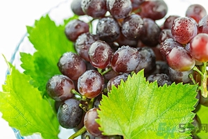 蘋果和提子可以同吃嗎？蘋果和提子可以榨汁嗎？