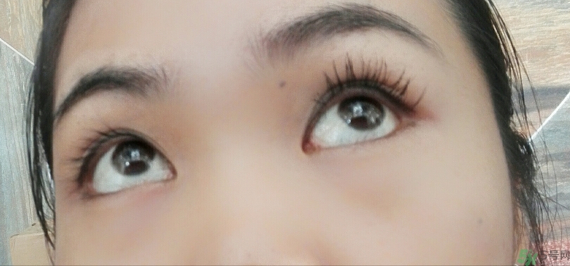 蜜絲佛陀睫毛膏多少錢(qián)?蜜絲佛陀睫毛膏專(zhuān)柜價(jià)格