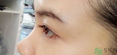 蜜絲佛陀睫毛膏多少錢(qián)?蜜絲佛陀睫毛膏專(zhuān)柜價(jià)格