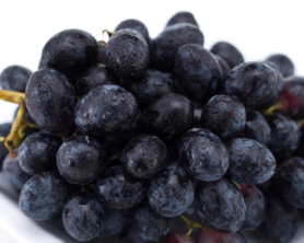 黑加侖皮能吃嗎？黑加侖皮的功效