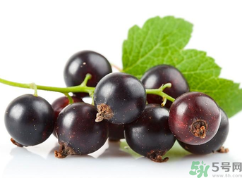 孕婦能吃黑加侖嗎？孕婦吃黑加侖好嗎？