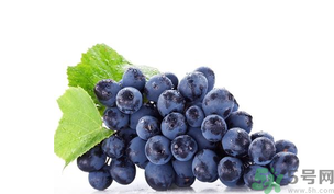 孕婦能吃黑加侖嗎？孕婦吃黑加侖好嗎？