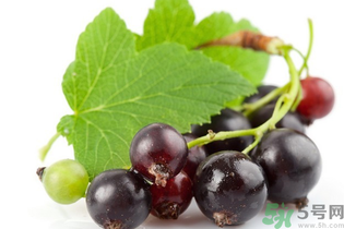 黑加侖是葡萄嗎？黑加侖和葡萄的區(qū)別
