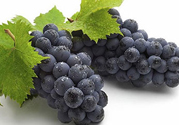 黑加侖是葡萄嗎？黑加侖和葡萄的區(qū)別