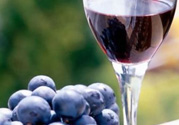 自釀葡萄酒有毒嗎？自釀葡萄酒的危害