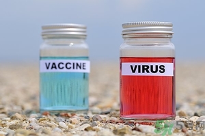 寨卡病毒會導(dǎo)致死亡嗎？寨卡病毒對人體的危害