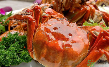 九月份吃公蟹還是母蟹？公蟹和母蟹哪個更好吃？