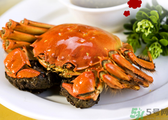 九月份吃公蟹還是母蟹？公蟹和母蟹哪個更好吃？