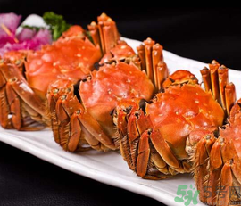 九月份吃什么螃蟹？哪些螃蟹不能吃？