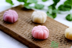 冰皮月餅和普通月餅?zāi)膫€(gè)好吃? 冰皮月餅和普通月餅?zāi)膫€(gè)好吃?