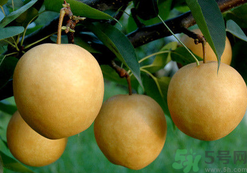 喉嚨痛可以吃月餅嗎？喉嚨痛吃什么好？