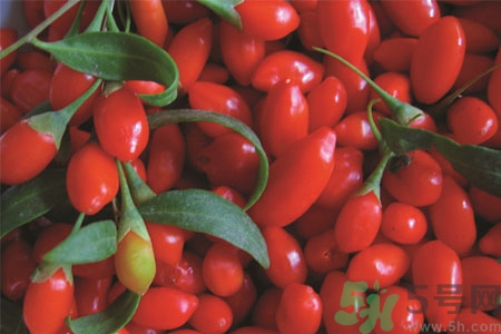 枸杞能提高性功能嗎？枸杞怎么吃壯陽？