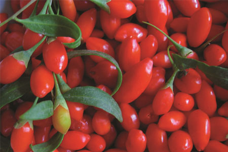 枸杞泡酒的配方是什么？枸杞泡酒需注意什么？