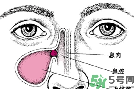 鼻子不通氣是怎么回事？鼻子不通氣怎么辦？